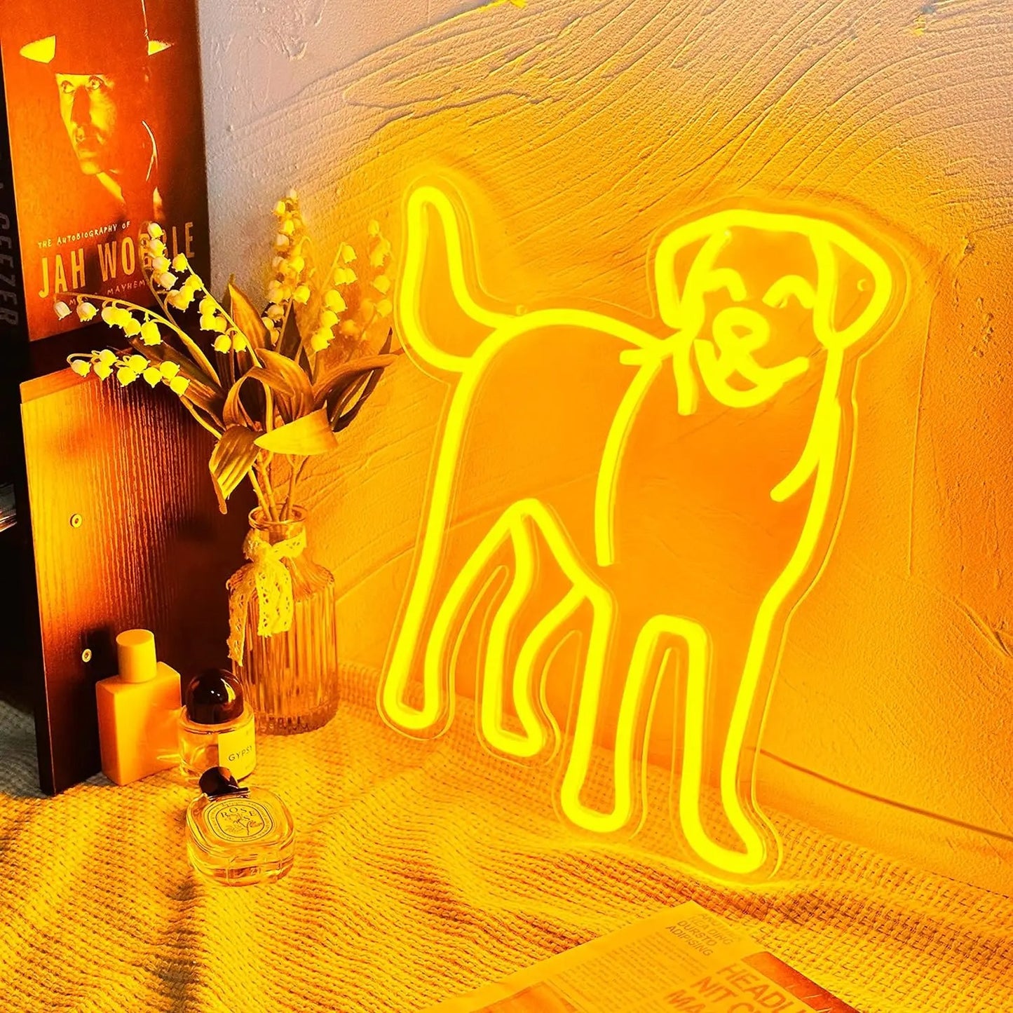 Golden Glow Lab