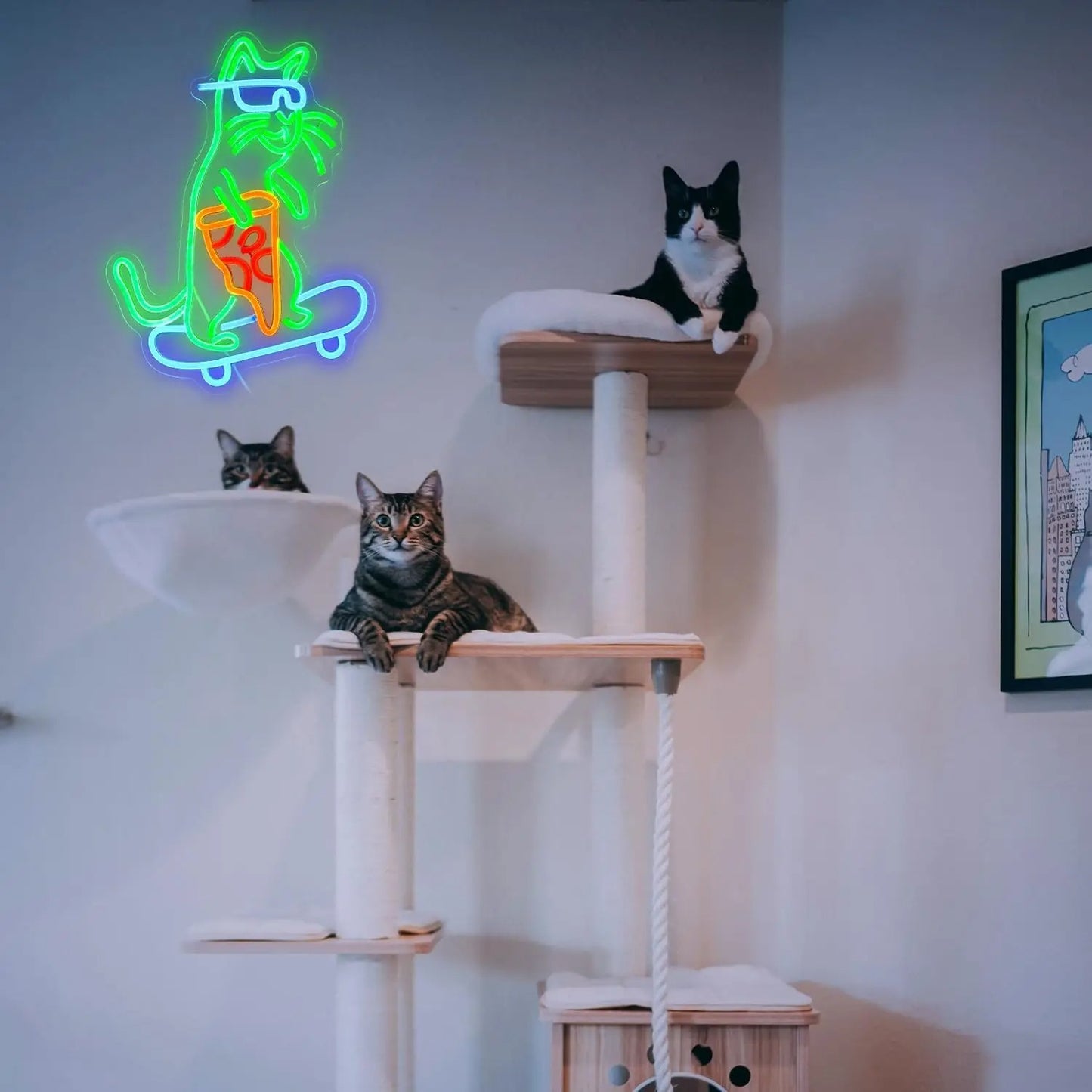 Paws on Deck