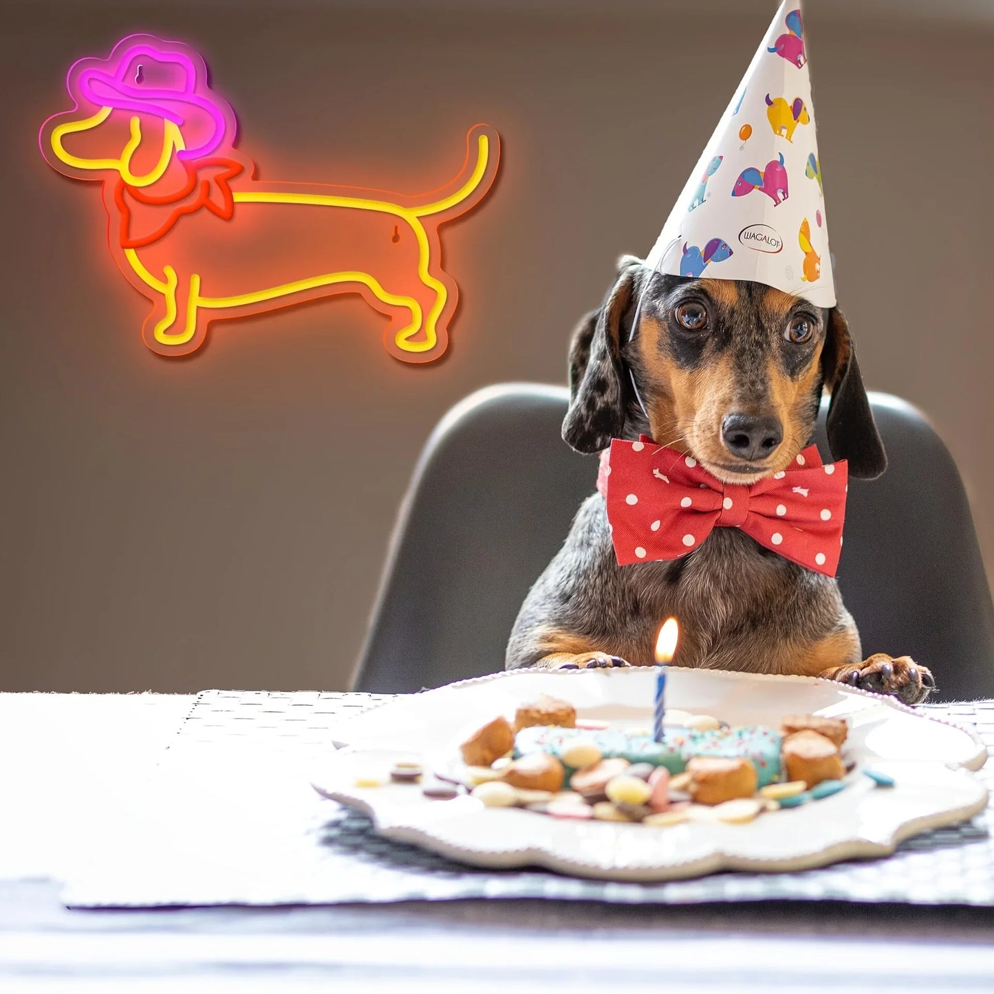 Puppy with Cowboy Hat - GotLume