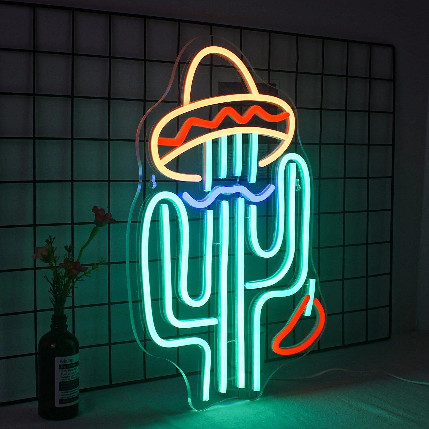 Cactus Wearing Hat - GotLume