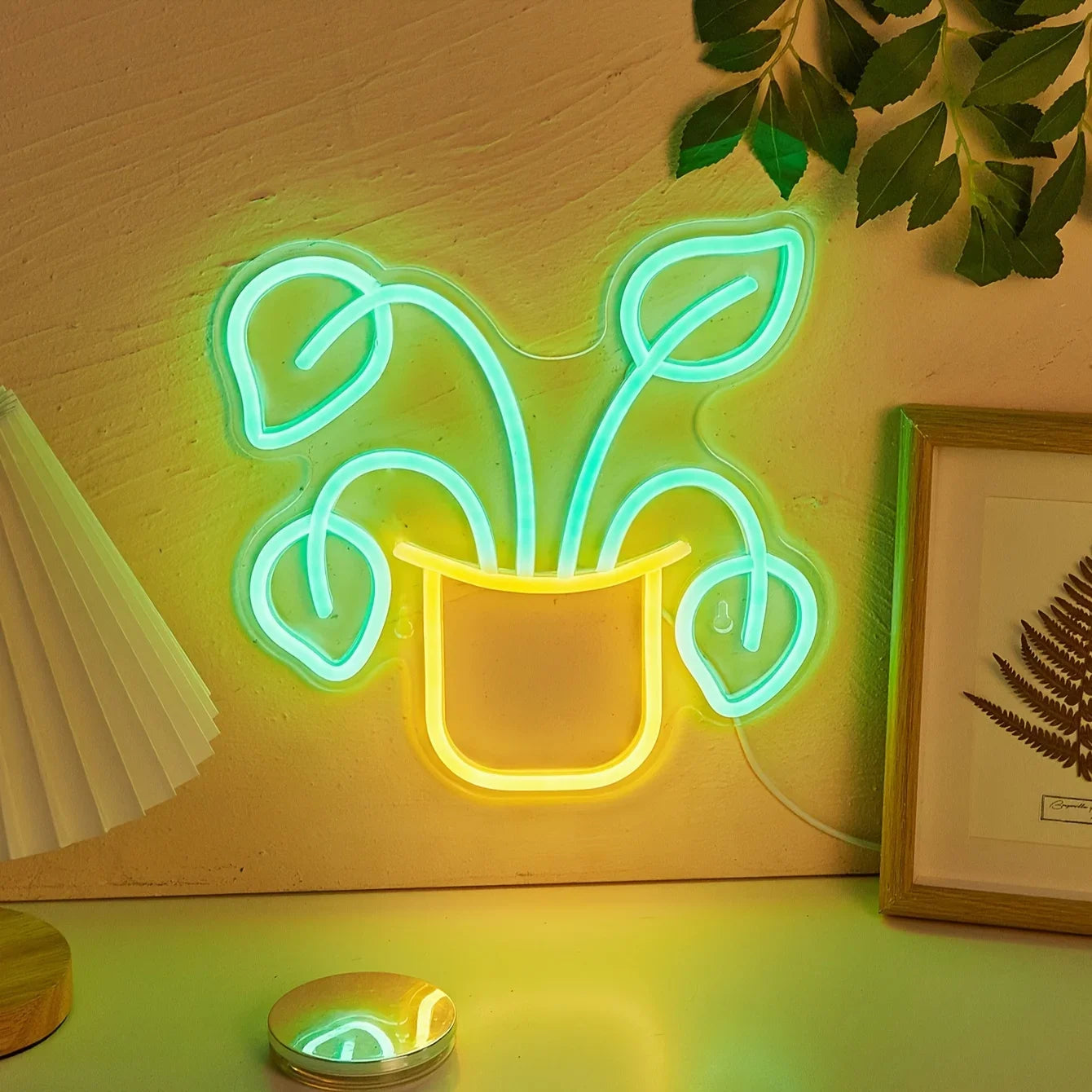 Plant - GotLume