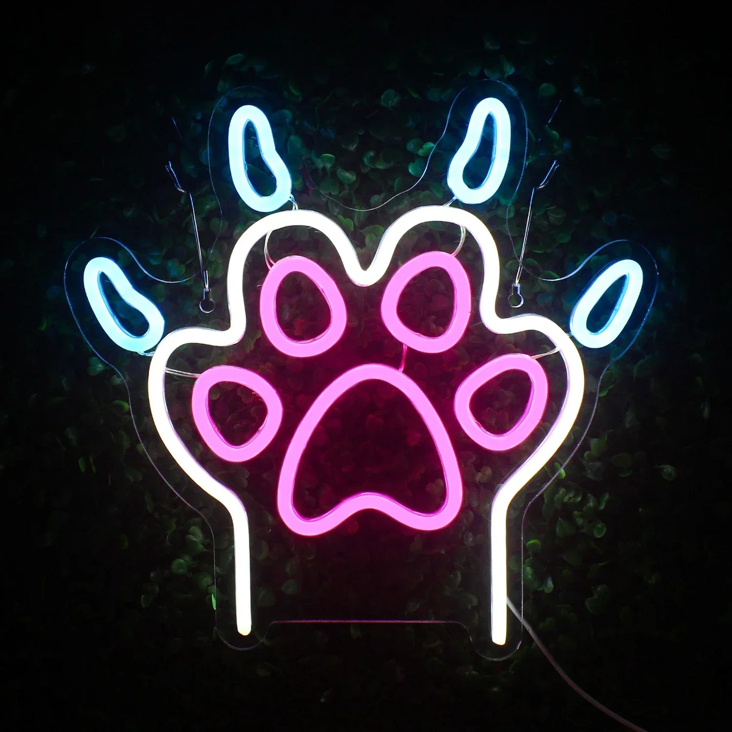 Paw Haven - GotLume