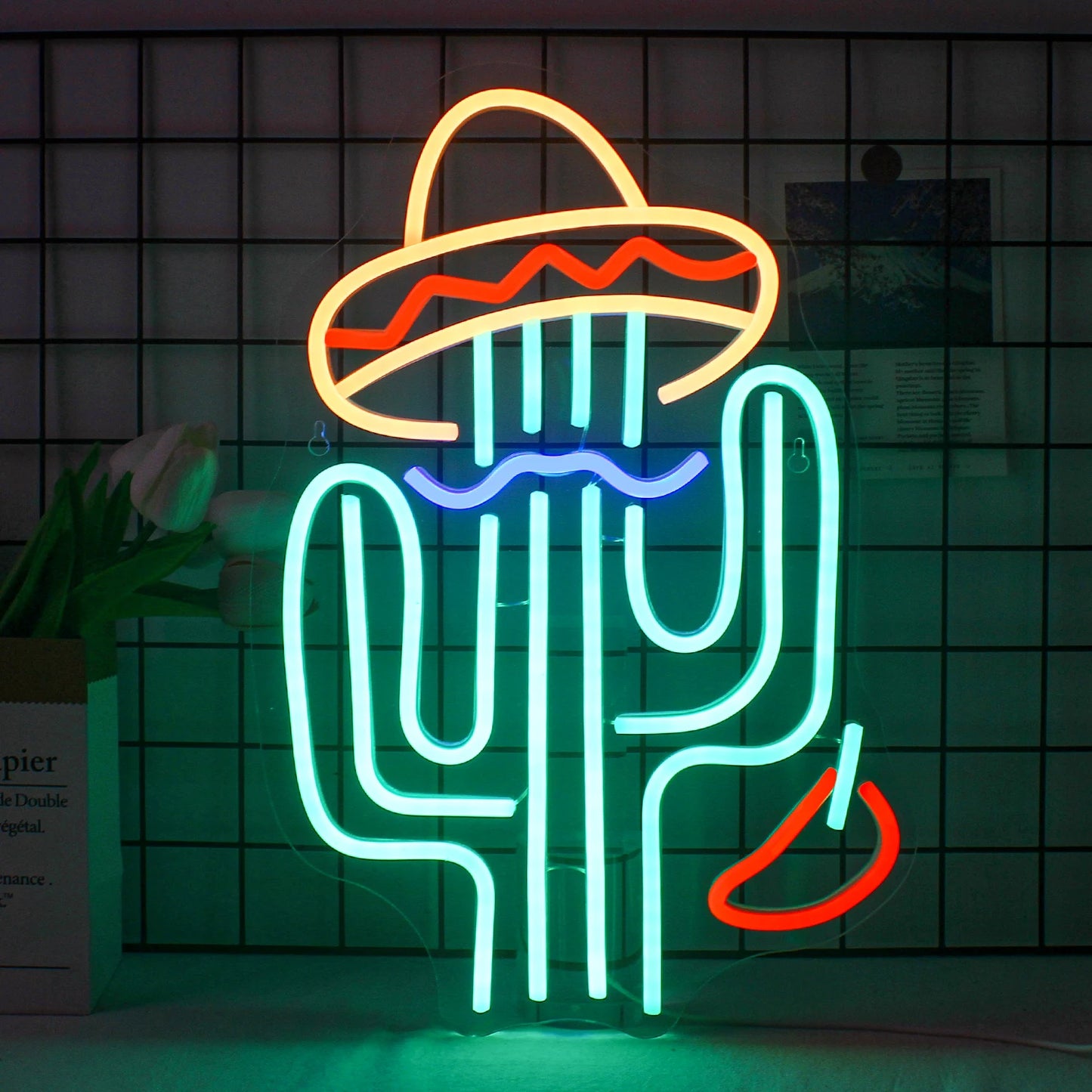 Cactus Wearing Hat - GotLume